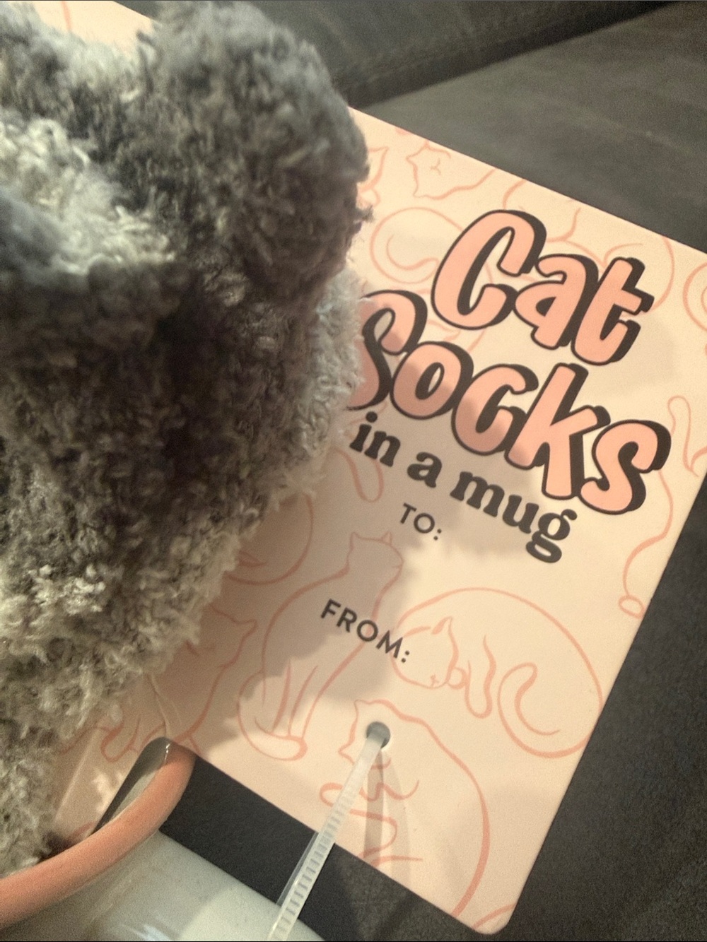 Cat gift set - Picture 2 of 5